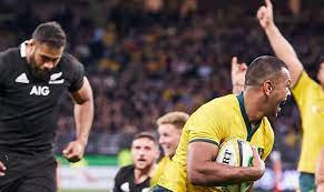 Memberships for 2021 are on sale now! Bledisloe Cup Wallabies All Blacks Optus Stadium