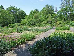 Botanischer volkspark pankow 83 km. Botanischer Garten Frankfurt Am Main Wikipedia