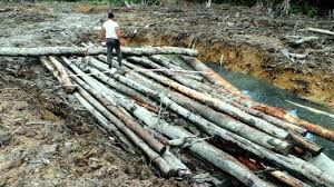 Click start and download the file from converted video ralan do kayu balak to your phone or computer once the conversion process is completed. Kayu Balak In English Kayu Balak Logging Solomon Island Youtube Savesave Kayu Balok For Later Nyaman