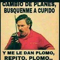 Cupido Frases De Narcos Frases Motivadoras Frases De Palabras