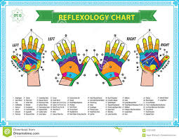 Hand Reflexology Chart Stock Illustration Illustration Of