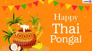 Pongal festival wishes here we have a wide collection of happy pongal 2020 images free download for you. Thai Pongal 2021 Date Shubh Muhurat Traditions From Bhogi To Kaanum Pongal Know More About