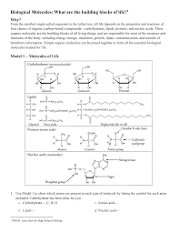 The signs that indicate a reaction are called indicators of a chemical reaction. Biological Molecules What Are The Building Blocks Of Life 1