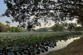 Events & activities to do with friends & family in cyberjaya today. A Day In Cyberjaya Expatgo