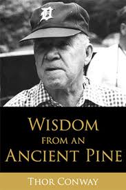 Wisdom from an Ancient Pine