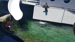 You will have an opportunity to touch the strange water creatures that live in rocks with bare hands when on a sightseeing tour. Ocean World Sea Lion Crescent City Ca Travel Insurance Affordable Vacations Cheap Travel
