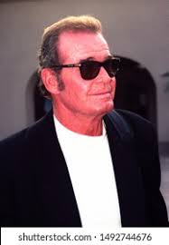 300 Maverick Star Images, Stock Photos, and Vectors