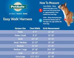 Premier Easy Walk Dog Harness Size Chart Www