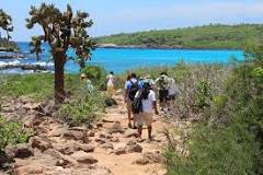 Las islas Galápagos reabren sus puertas al turismo y te ...
