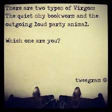 Oh My I Am Both No Wonder My Life Is Confusing Lol Virgo Love Virgo Traits Virgo Personality