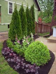 Check spelling or type a new query. Evergreen Borders For Landscaping Hgtv