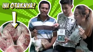 We did not find results for: Cobain Makan Otak Kelinci Ternyata Daging Kelinci Banyak Manfaat Loh Makanan Ekstrim Indonesia Youtube
