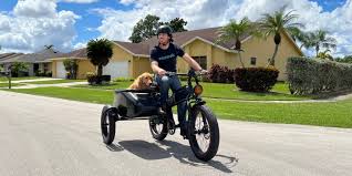 Image result for bicycle sidecar