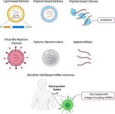 Mrna vaccines are a new type of vaccine to protect against infectious diseases. Mrna Therapies And Mrna Vaccines In Cancer