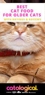 Pin On Cat Food