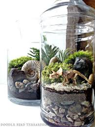 How To Plan The Perfect Terrarium Party The Best Ideas Diy Decor Invitations Momooze Com In 2020 Dinosaur Bedroom Dinosaur Room Dinosaur Garden