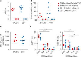 At the time of vaccine astrazeneca or control. Chadox1 Ncov 19 Vaccine Prevents Sars Cov 2 Pneumonia In Rhesus Macaques Nature