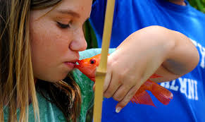 Hickam children set record during fishing tournament > 15th Wing > Article  Display
