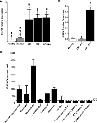 Iraakk tääʹssväʹldd, iraak tääʹssväʹldd, irak (sms). Enhanced Mucosal Defense And Reduced Tumor Burden In Mice With The Compromised Negative Regulator Irak M Ebiomedicine