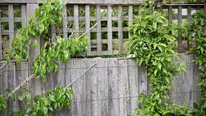 You will likely need a permit before you build your diy fence. How To Make Trellis Panels Herbidacious