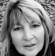 Where to buy reasonable Roman Shades for custom-sized windows?