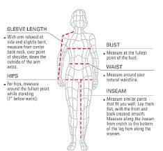 Women Body Measurements Chart Jasonkellyphoto Co