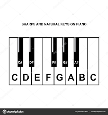 Piano Chords Piano Key Notes Chart White Background Vector