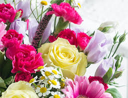 Grab same day flowers through our sister brand, interflora and get flowers delivered today when you order before 3pm. Flowers Delivery Troy í† ìµíŠ¸ë ˆì´ë„ˆì–´í•™ì›