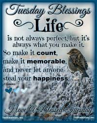 Pin On Inspiration Positive Quotes Words Of Encouragement