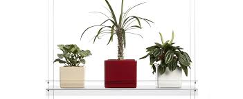 hanging window plant shelves