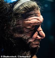 We did not find results for: Ancient Dna Humans May Have Lived Alongside Both Denisovans And Neanderthals In Siberian Cave Todayuknews