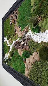 Bring The Beauty Of Nature With This Stunning Original Large Moss Wall Art Adorned With Live Air Plants That Require Mini Wall Garden Moss Wall Art Garden Wall