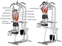 Comment Effectuer Les Tractions Assiste Leste Musculation Mouvement Musculation Machine Musculation