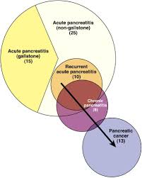 Include pancreatic cancer should consider genetic counseling and testing in a. The Epidemiology Of Pancreatitis And Pancreatic Cancer Gastroenterology