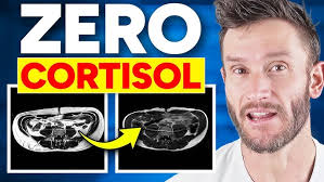 All About Block Patterns in WordPress with Daisy Olsen