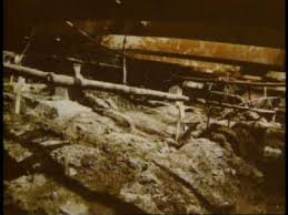 We did not find results for: John Wayne Gacy Photos 3 Murderpedia The Encyclopedia Of Murderers