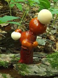 Image result for Ganoderma tsugae