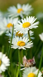 We did not find results for: Spring Wallpaper For Android Phone 640x1136 Wallpaper Teahub Io