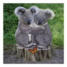 See more ideas about baby koala, koala, koalas. Baby Koala Bar Huggies Poster Zazzle De