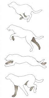Running Dogs Drawing By Sydney Stafl | Fine Art America