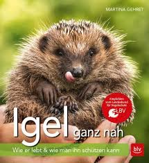 Igel Ganz Nah Igel Tierbucher Tiere