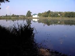 Zbiornik położony jest w żorach przy ul rybnej. Jezioro Smieszek W Zorach Mapio Net