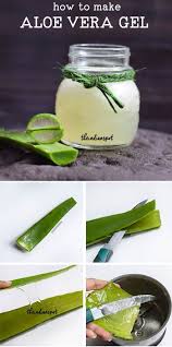 Idee Pour Diy Masque How To Make Fresh Aloe Vera Gel And Juice At Home Huismiddeltjes Natuurlijke Remedies Natuurlijke Verzorgingsproducten