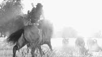 Beat A Dead Horse Gifs Get The Best Gif On Gifer