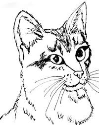 Cat Coloring Kitty Page Free Coloring Pages Cat Coloring Page Cat Coloring Book Animal Coloring Pages