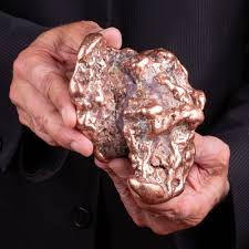 Image result for Copper Chestnut 2012 Cygnet