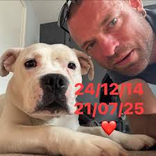 What is causing the HDR output issue in Far Cry 5?