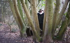 Hier heeft de boom niet alleen zijn naam aan te danken, ook op deze ets van henkes is de apostelenboom nog te zien op zijn oorspronkelijke plek. Kapwoede Van Natuur Beschermings Organisaties De Veluwenaar