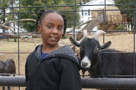 103,427 likes · 176 talking about this · 88,020 were here. Petting Zoo Area Picture Of Tennessee Safari Park Alamo Tripadvisor