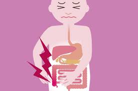 Womb / uterus the organ of a woman or other female mammal in which babies grow before they are born. What Does The Appendix Do Other Questions About The Body S Mystery Organ